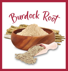 Burdock Root Powder ~ Arctium Lappa ~ Burdock Herb ~ Dr. Sebi – USA