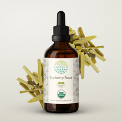 HerbEra Barberry Root Alcohol-FREE Tincture, Organic (Berberis Vulgaris)