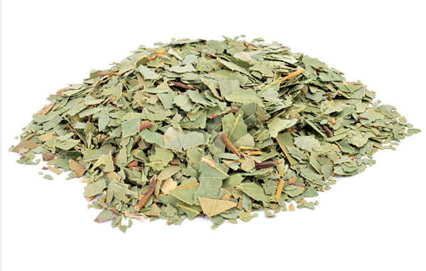 Eucalyptus Leaf Herb 1 oz – Organic Cut & Sifted | Respiratory Support