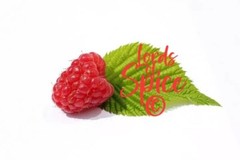 Red Raspberry leaf tea – Herbal Tea – Free Shipping – USA