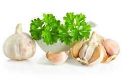 immune boost – GARLIC AND PARSLEY (ODORLESS) 2B – aged garlic extract