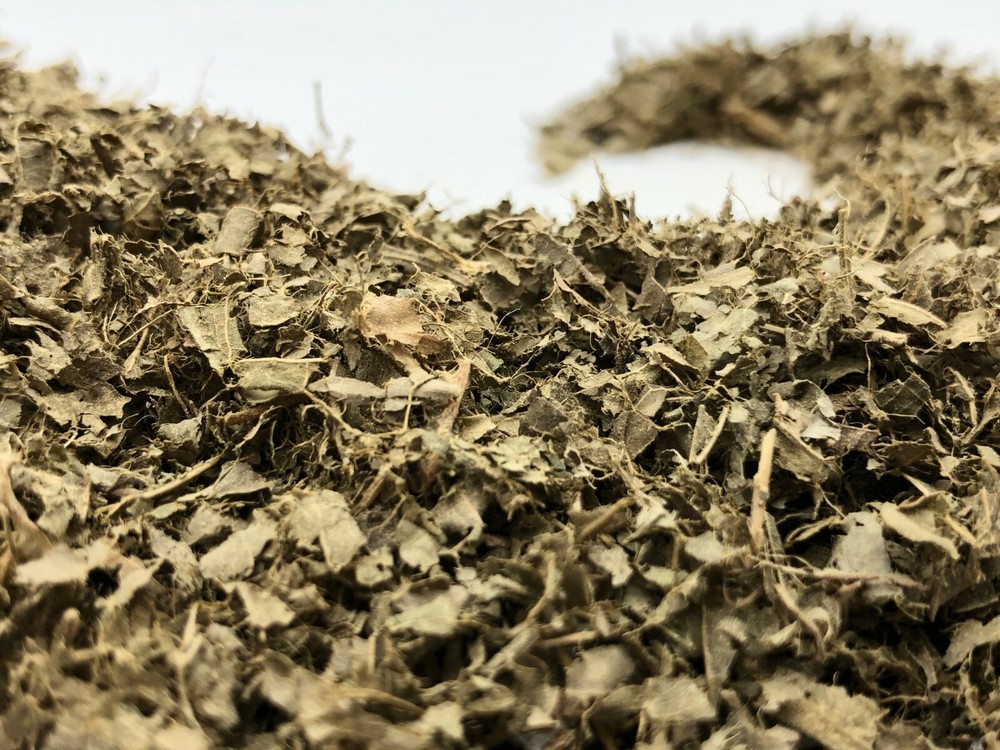 Sakae Naa, Combretum quadrangulare, All Natural Leaves ~ Schmerbals Herbals