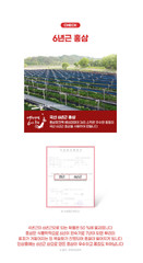 NEW KOREA NO.1 Korean 6 Years Red Ginseng Extract 365 Stick, 100Pcs