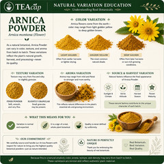Arnica Flower |Whole or Powder | Natural Muscle & Joint Support | 1/4/8 oz Sizes
