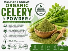 Organic Celery Powder 250g Freeze Dried Pure Natural Non-GMO Gluten Free