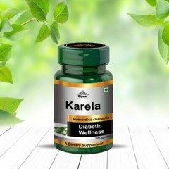 Cipzer Bitter Melon 30Capsule |Natural Blood Sugar Support |Powerful Antioxidant