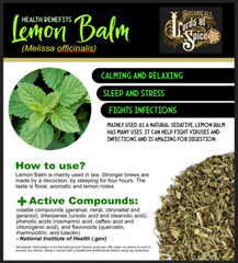 Lemon Balm Extract Lemon Balm Tincture Organic Drops (Melissa officinalis) USA