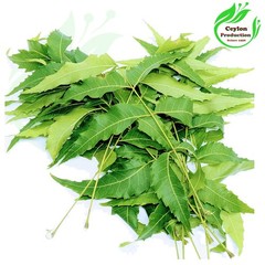 Neem Leaf Powder Ground Organic Azadirachta Indica Herbal Wellness Detox