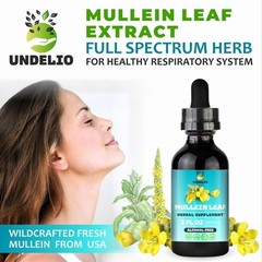 Undelio Mullein Leaf Extract For Hung Cleanse 2 oz Respiratory & Immune Support