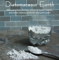 4 oz. Diatomaceous Earth & Activated Charcoal Powder -Detox, Internal + External