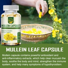 Nature’s Live Mullein Leaf Capsules | 1500mg | 60 Count | Support Lung Cleanse