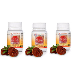 3 Bottle X 30 Caps Gano Excel – Gano Ganoderma Lucidum ORIGINAL