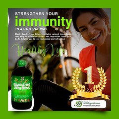 Herboganic Sea Moss and Organic Green Living Bitters Combo Pack – 16oz