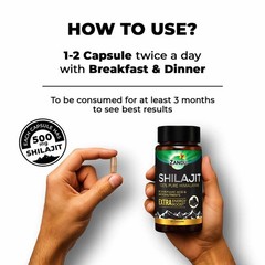 Zandu Shilajit (60 Caps) Ayurvedic Herbal Ayurvedic Sexual Wellness