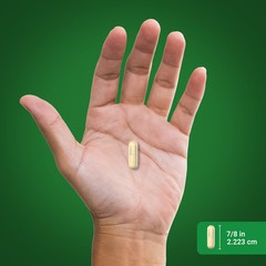 Artichoke Leaf Extract | 200 Capsules | 8000mg | Non-GMO | by Piping Rock