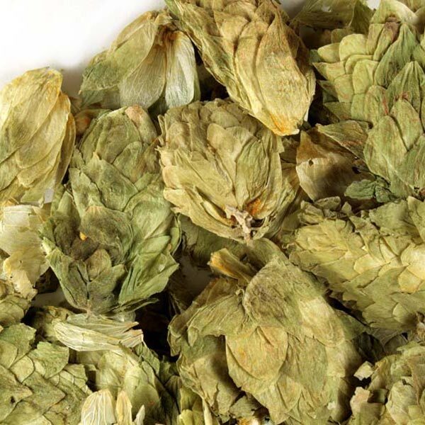 WHOLESALE!! HOPS FLOWERS WHOLE DRIED BULK TEA NON-GMO-1,2,3,4,5 LB