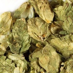 WHOLESALE!! HOPS FLOWERS WHOLE DRIED BULK TEA NON-GMO-1,2,3,4,5 LB