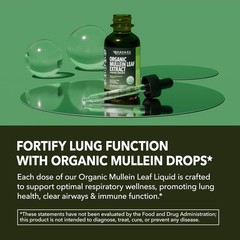 Mullein Drops for Lungs – USDA Organic Mullein Leaf Extract – Respiratory Health