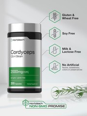 Cordyceps Sinensis Capsules 2000mg | 200 Ct | Mushroom Supplement | by Horbaach