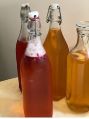 IBIV Organic Live Kombucha Scoby Over 1/2 Cup Strong Starter Tea 3.5′- 4″ SCOBY