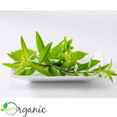 Organic Lemon Verbena Herb – Natural Digestive & Liver Wellness Support – 28.3g