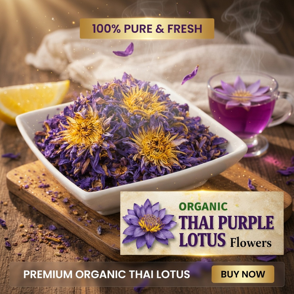 Organic Thai Purple Lotus Flowers Whole Bulk | Nelumbo nucifera | Dried | USA |