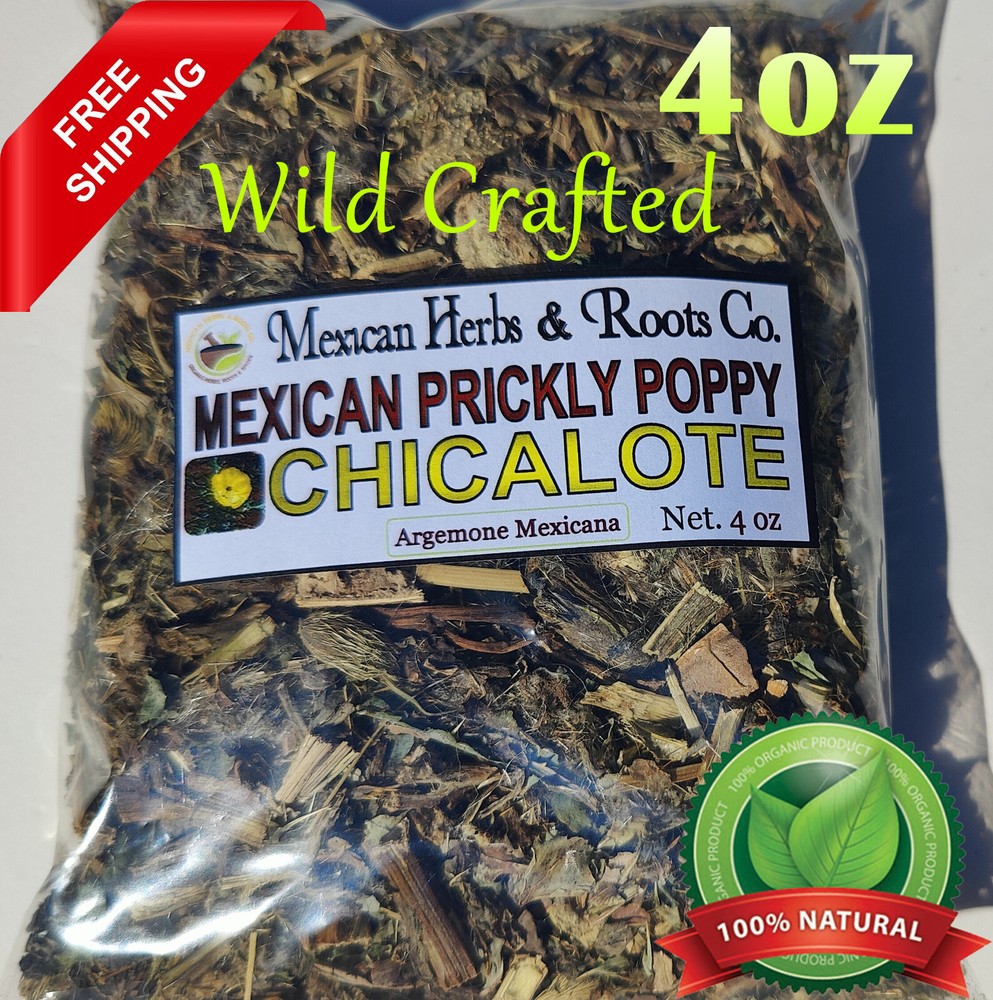 Chicalote, Mexican prickly poppy, satyanashi argemone mexicana 4oz wildcrafted