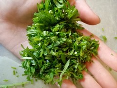 Organic Cleavers Extract Fresh Cleavers tincture, Wildcrafted 1 oz, lymph herb