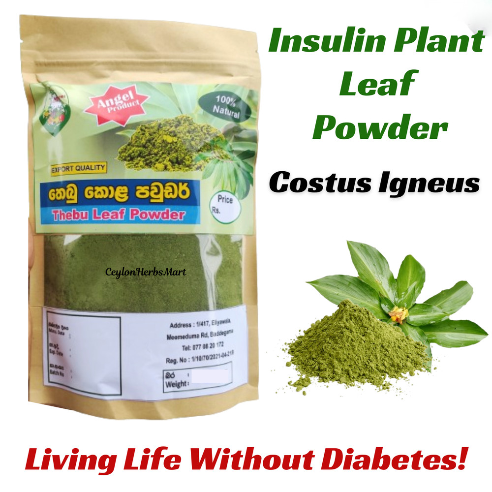 Insulin Plant Leaves Powder Dried Costus Igneus Thebu Organic Natural Leaf Tea