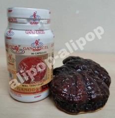 Gano Excel Ganoderma Lucidum (Lingzhi) – 90 Capsules x 5 bottles
