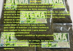 Estevia,Stevia,Stevia rebaudiana,stevia leaf,sweet herb, hierba endulzante natur