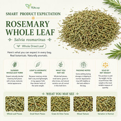 Rosemary Herb or Powder | Natural Memory Hair & Digestive Support | 1/4/8 oz
