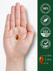 Chickweed Capsules | 1000mg | 120 Count | Non-GMO, Gluten Free | by Carlyle