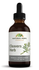 CLEAVERS HERB – Normal Urinary Tract & Lymphatic Function Support Tincture USA