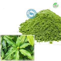 Insulin Plant Leaves Powder Natural Herbal Fine Ground Dried Powder