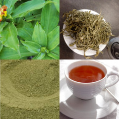 100% Natural Insulin plant Thebu / Cane Reed Dried Leaves Organic 50g
