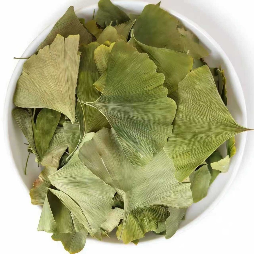Natural Ginkgo Leaves – Dried Herb for Tea & DIY Projects