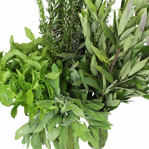 HERBS (Agrimony-Butcher’s Broom) packaged from Heart of the Dragon