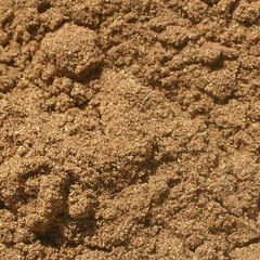 Saw Palmetto Berries Powder BULK HERBS 1 lb.