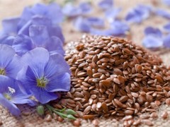 ORIGINAL : Flax Hull Lignans / 5oz Powder from Organic Flax. 3 pack 15oz total