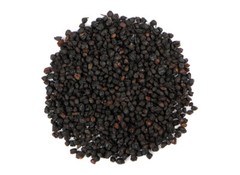 WHOLESALE!! WILD ELDERBERRY WHOLE BLACK DRIED BULK TEA NON-GMO-1-5 LBS