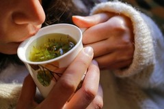 SAI HERBS Boneset Leaves Raw Herbal Tea – Good for Healthy Lifestyle