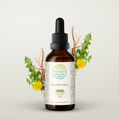 HerbEra Dandelion Root Alcohol-FREE Tincture, Organic (Taraxacum Officinale)