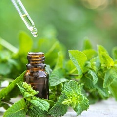 Peppermint Pure Extract Non-alcohol Organic Liquid Herbal Drop Natural 2 FL OZ