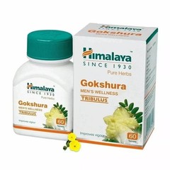 Gokshura Tablets Natural Men’s Wellness Support 60 Tabs Each Pack of 2