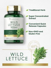 Wild Lettuce Extract 500mg | 200 Capsules | Non-GMO, Gluten Free | by Carlyle