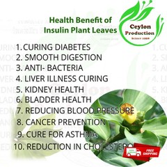 Insulin Plant Leaves powder Natural Blood Sugar Support Ayurvedic Herbal Organic