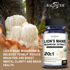 ORGANIC LION’S MANE MUSHROOM EXTRACT – BRAIN AND MOOD SUPPORT