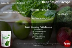 Organic Brahmi Powder, Bacopa Monnieri for brain & hair, 4,8,16 oz , ships free