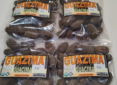 guazima guásimo guácima guásima caulote cuaulote Guazuma ulmifolia semillas 4oz